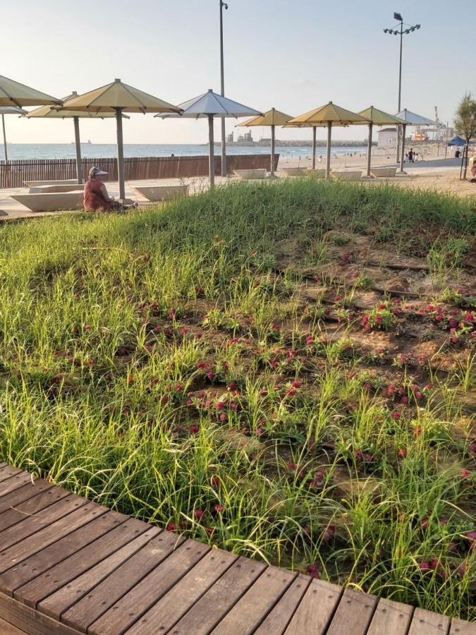 Studio By The Sea Ashdod Exteriör bild